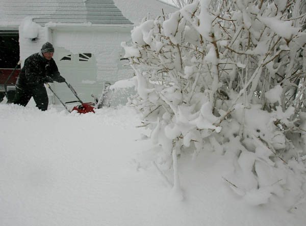 Cape Snow
